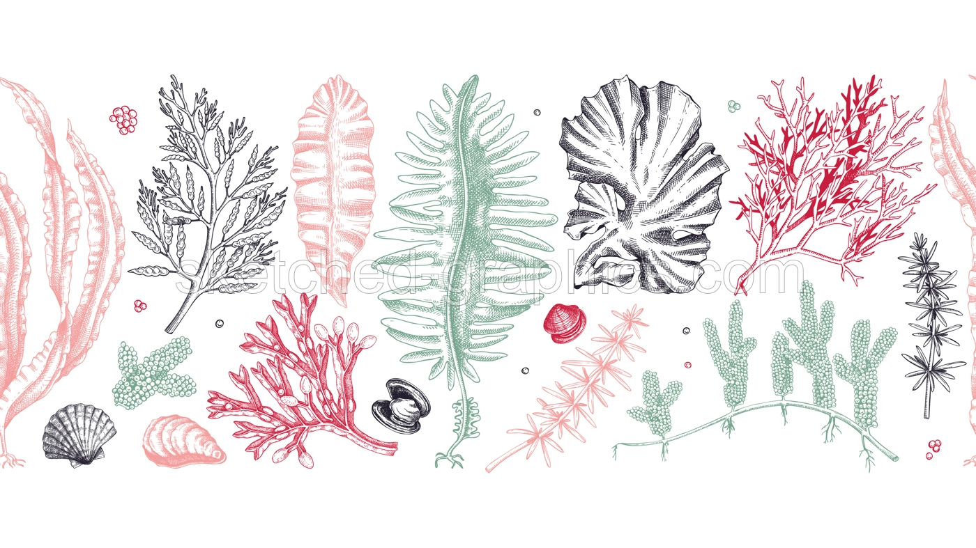 Edible seaweed seamless pattern in color. Hand-drawn sea vegetables - kelp, kombu, wakame, hijiki  drawings. Underwater algae ribbon in sketch style. Asian cuisine menu or healthy food design  Illustration